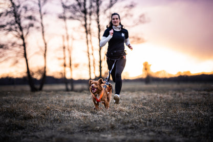 Non-stop dogwear - Freemotion harness 5.0