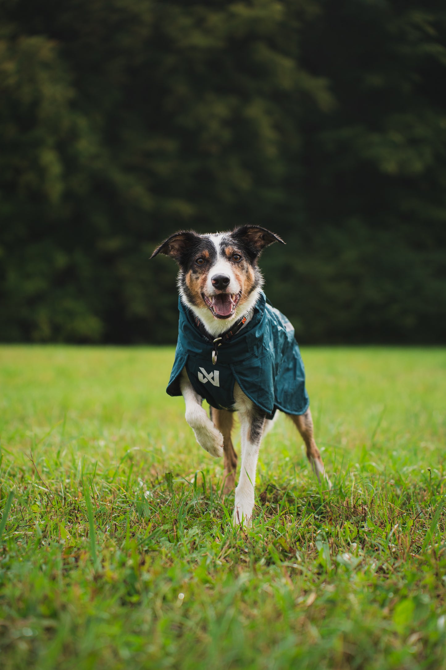 Non-stop dogwear - Fjord lined Raincoat