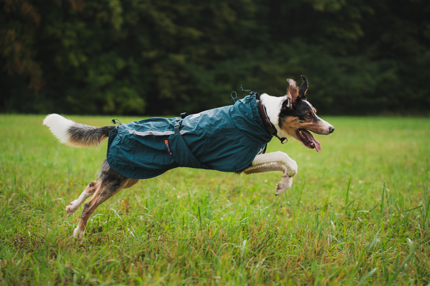 Non-stop dogwear - Fjord lined Raincoat