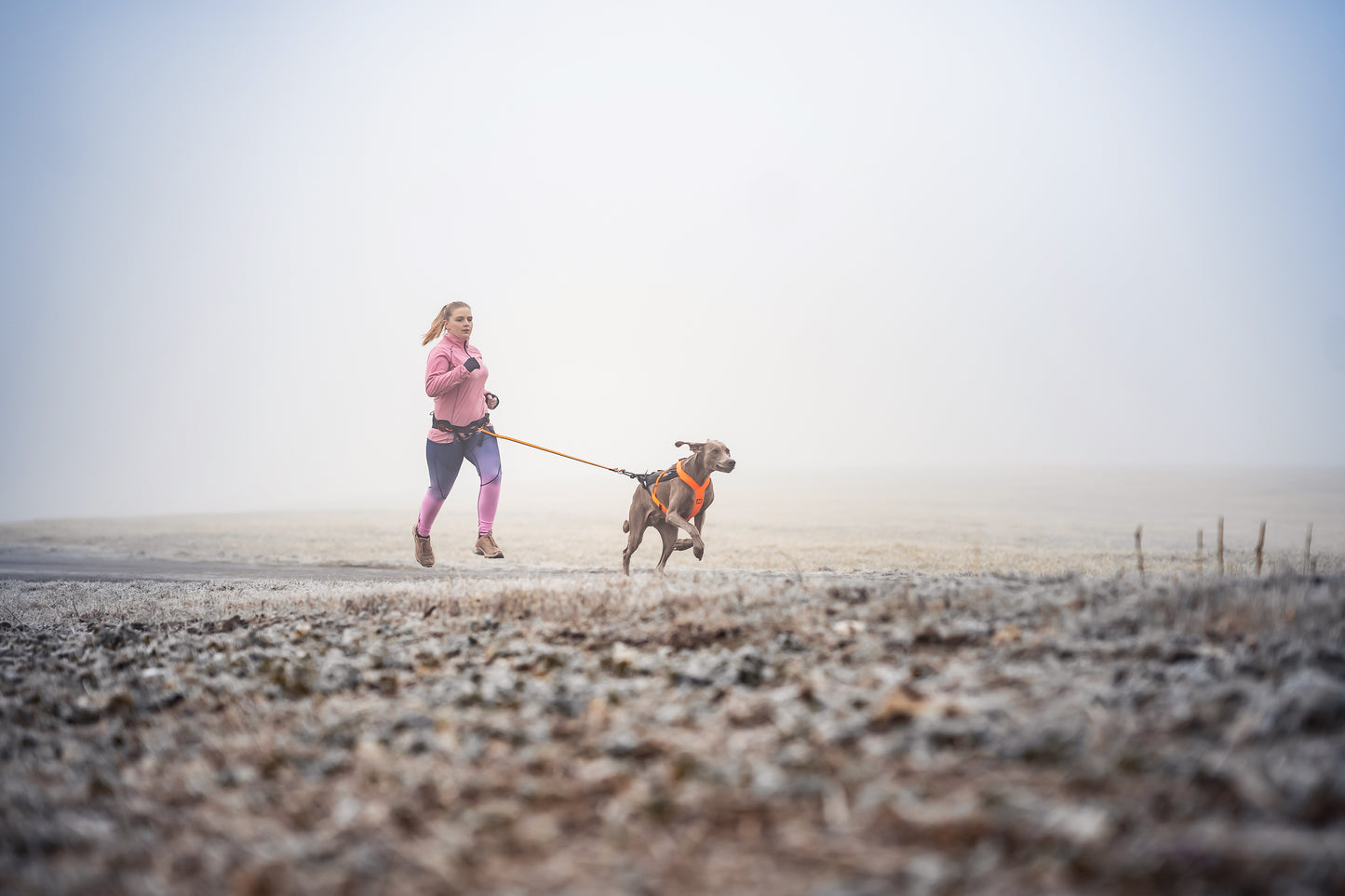 Non-stop dogwear - Freemotion harness 5.0