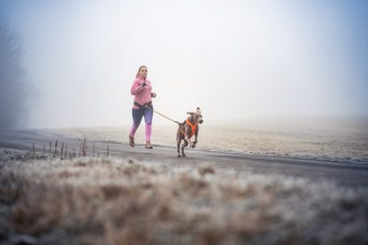 Non-stop dogwear - Freemotion harness 5.0