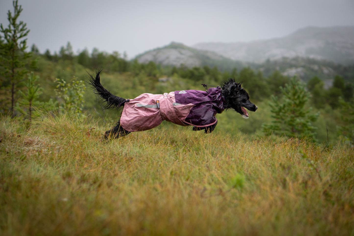 Non-stop dogwear - Fjord Raincoat 2.0
