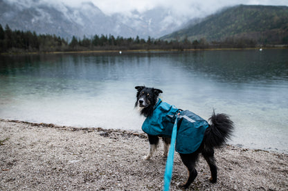 Non-stop dogwear - Fjord Raincoat 2.0