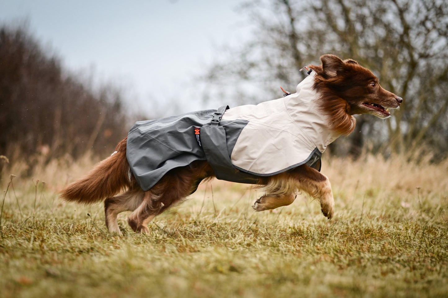 Non-stop dogwear - Fjord Raincoat 2.0