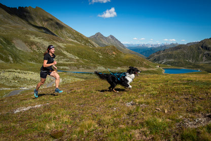 Non-stop dogwear - Freemotion harness 5.0