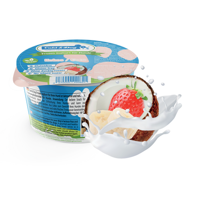 Cold & Dog Hundeeis Kokos & Erdbeere 90ml (VEGAN)