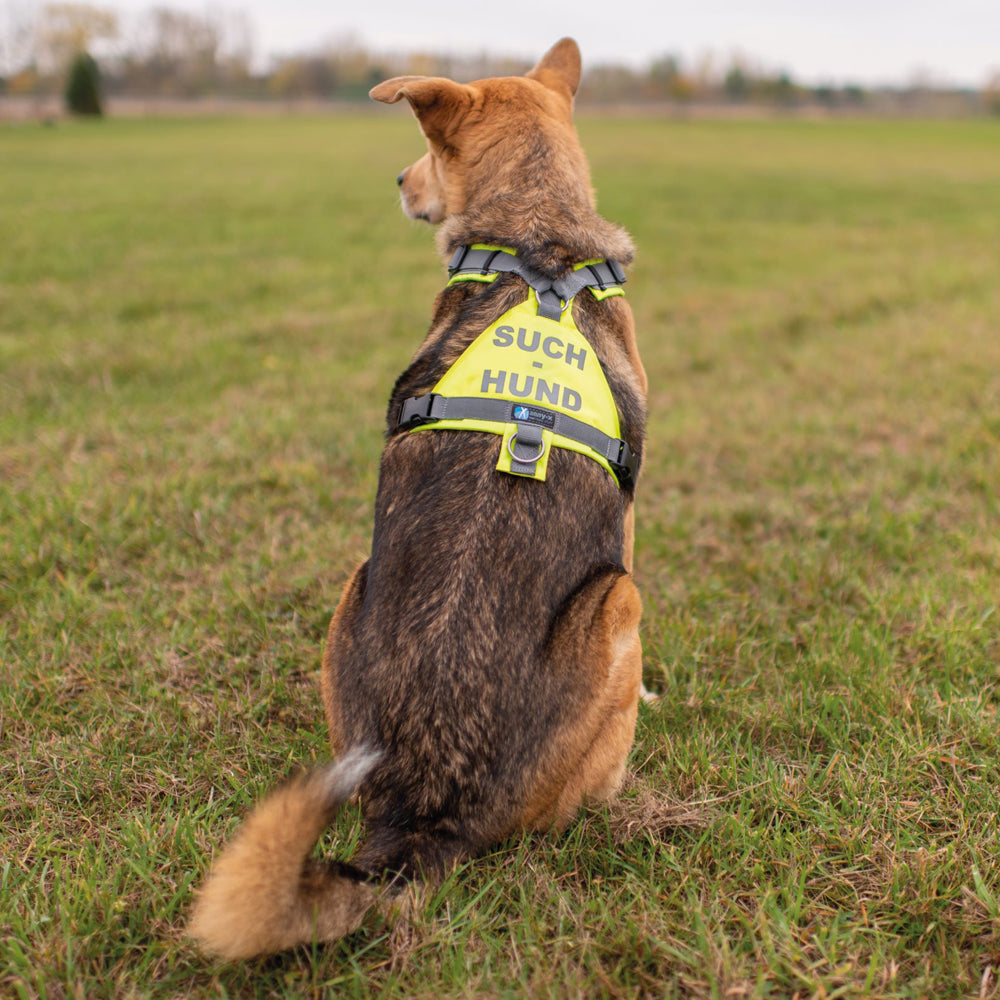 AnnyX Suchhund-Brustgeschirr