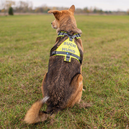 AnnyX Suchhund-Brustgeschirr