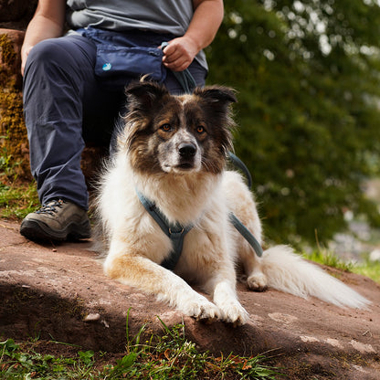AnnyX Fun-Brustgeschirr Trendfarben - Wanderzeit