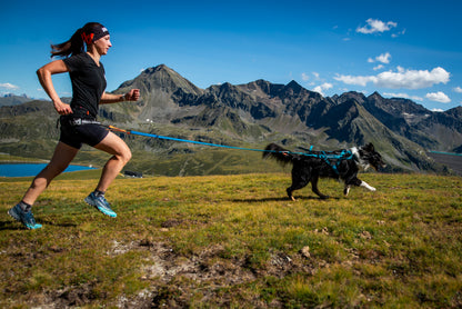 Non-stop dogwear - Freemotion harness 5.0