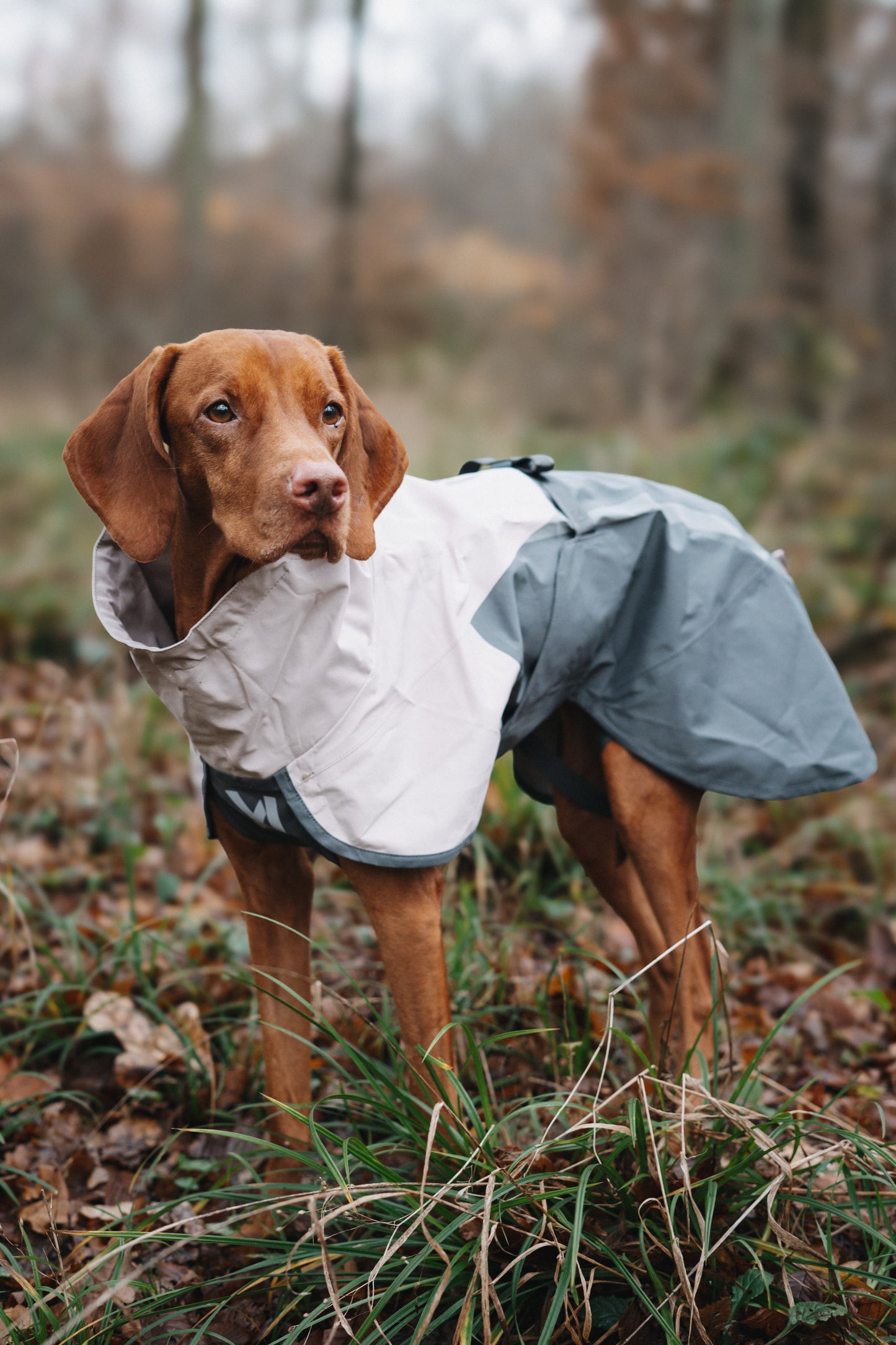 Non-stop dogwear - Fjord Raincoat 2.0