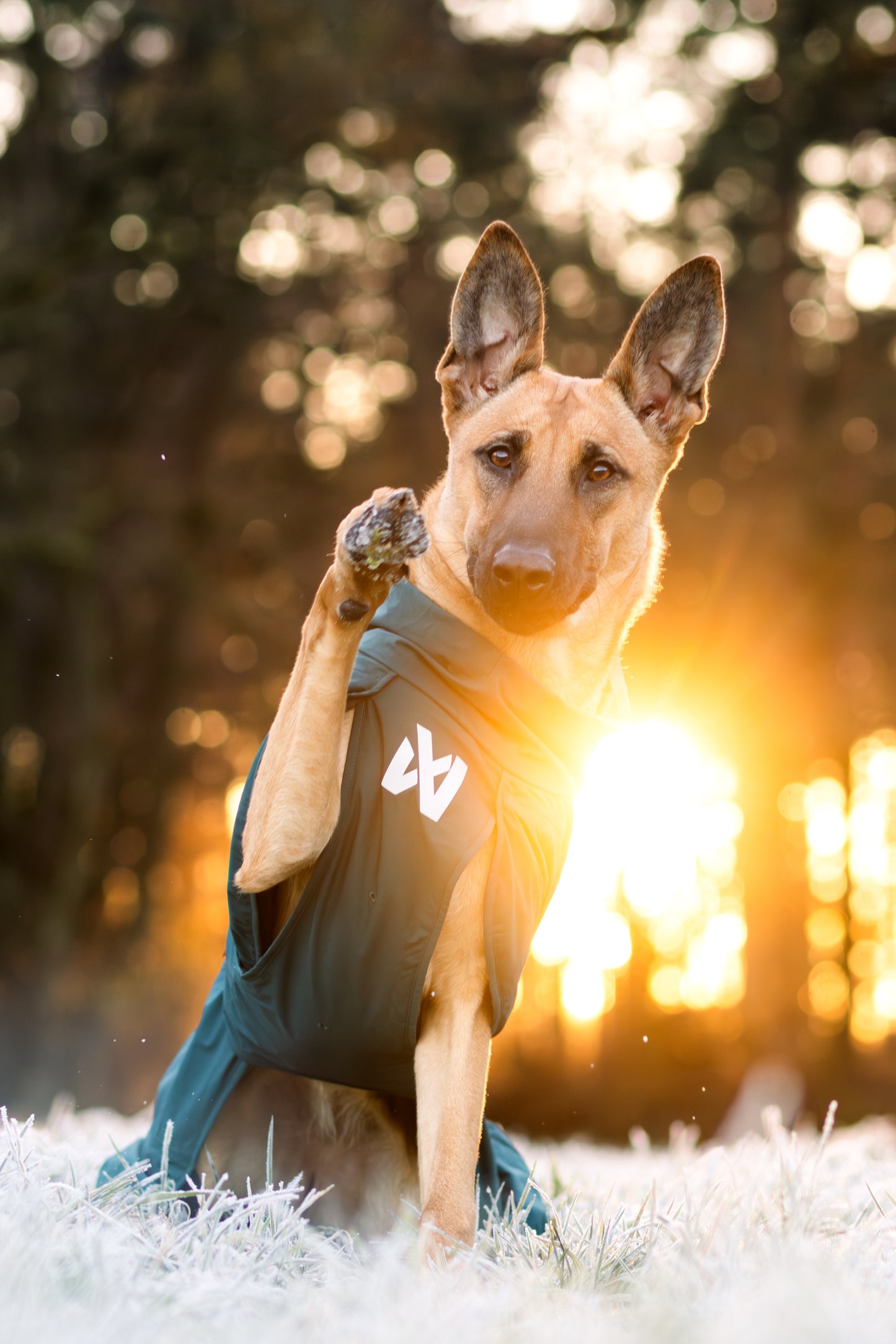 Non-stop dogwear - Fjord lined Raincoat
