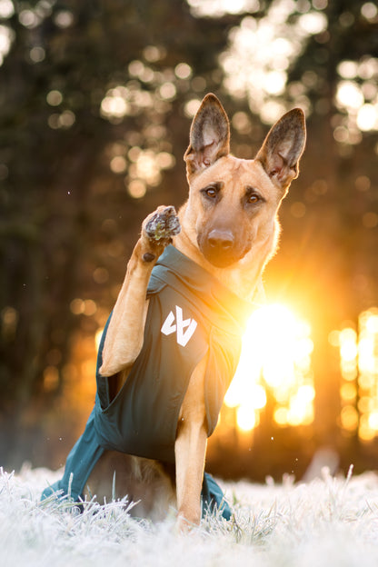 Non-stop dogwear - Fjord lined Raincoat