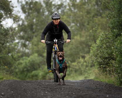 Non-stop dogwear - Freemotion harness 5.0