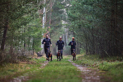 Non-stop dogwear - Freemotion harness 5.0