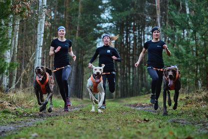 Non-stop dogwear - Freemotion harness 5.0