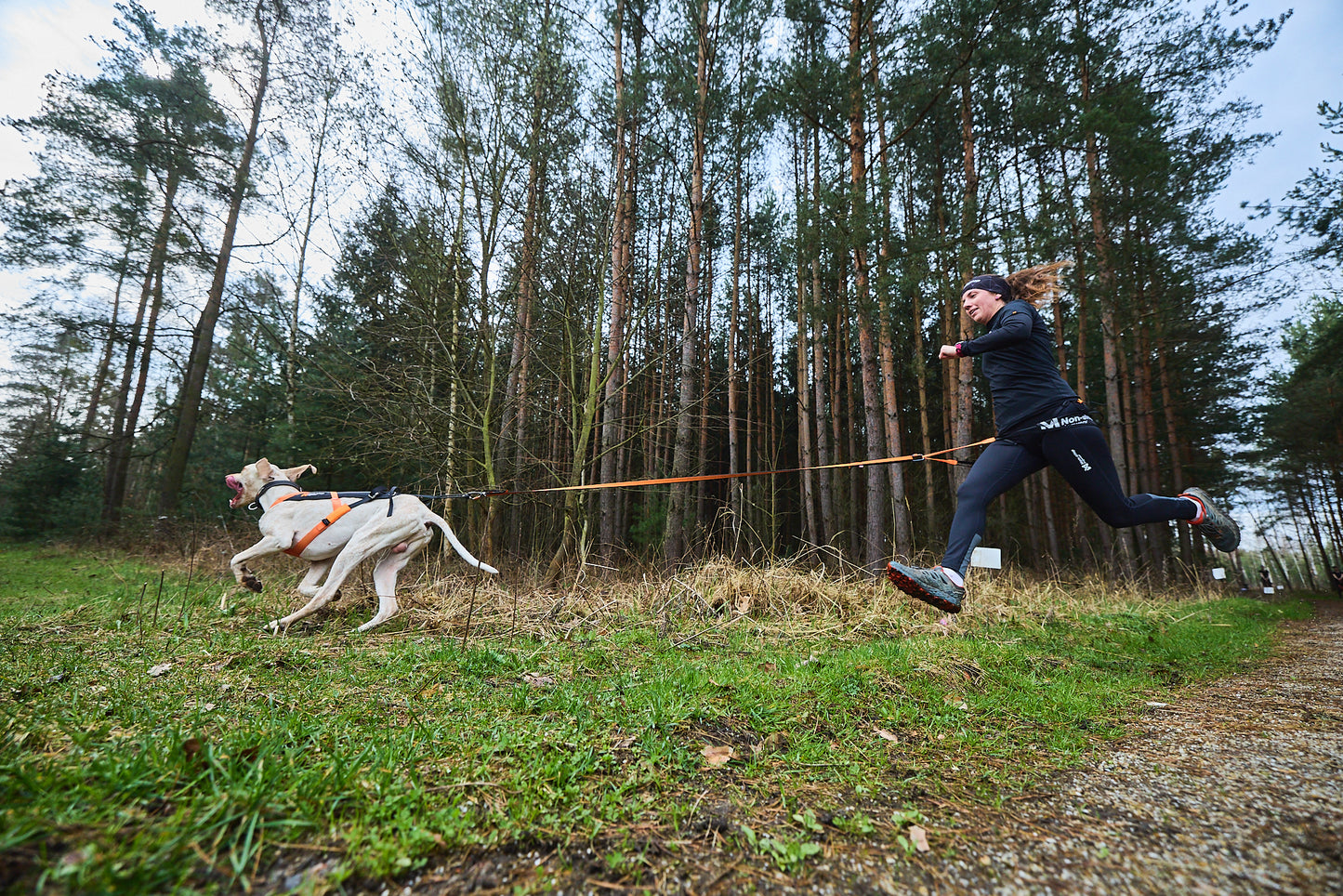 Non-stop dogwear - Freemotion harness 5.0
