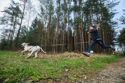 Non-stop dogwear - Freemotion harness 5.0