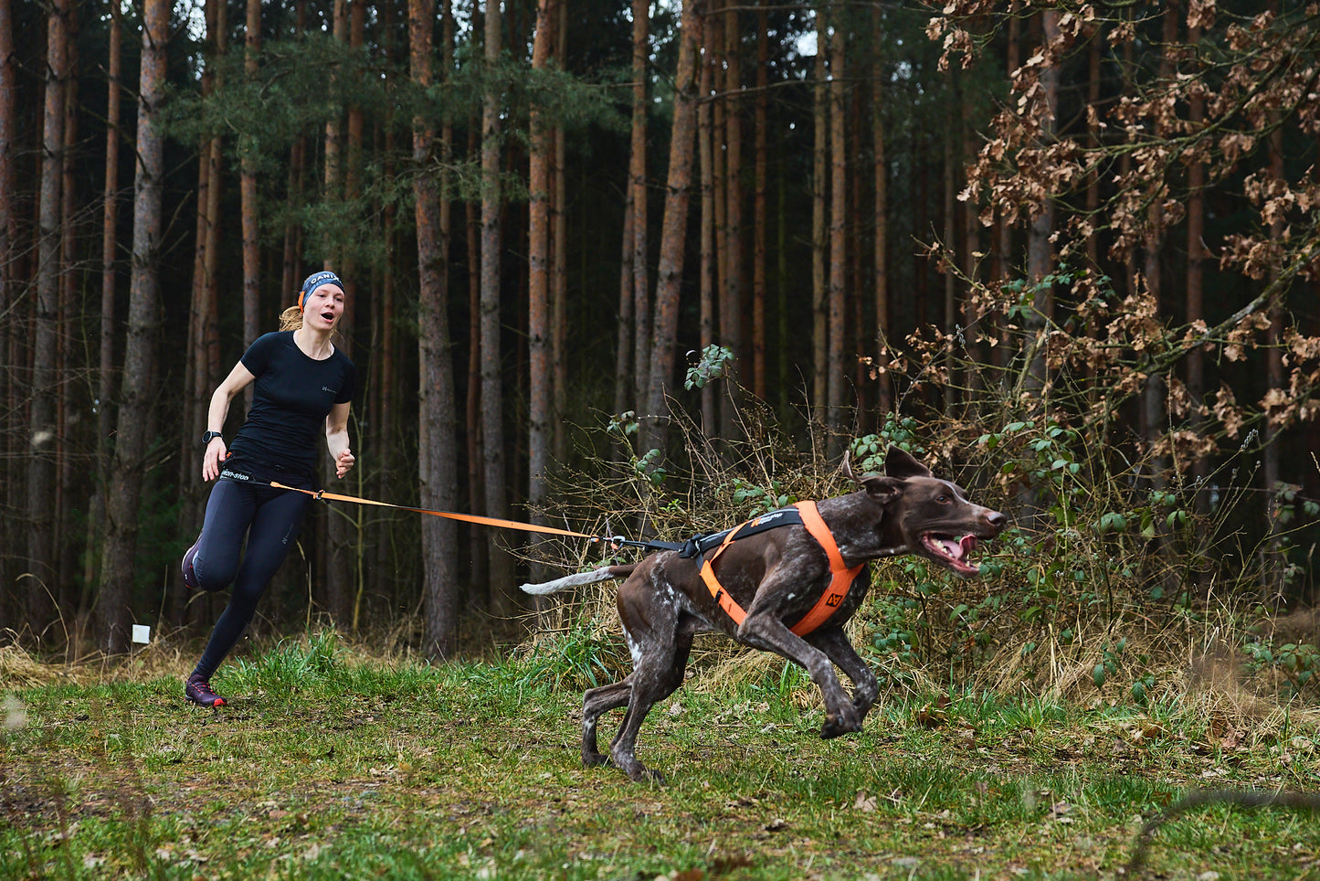 Non-stop dogwear - Freemotion harness 5.0