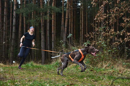 Non-stop dogwear - Freemotion harness 5.0