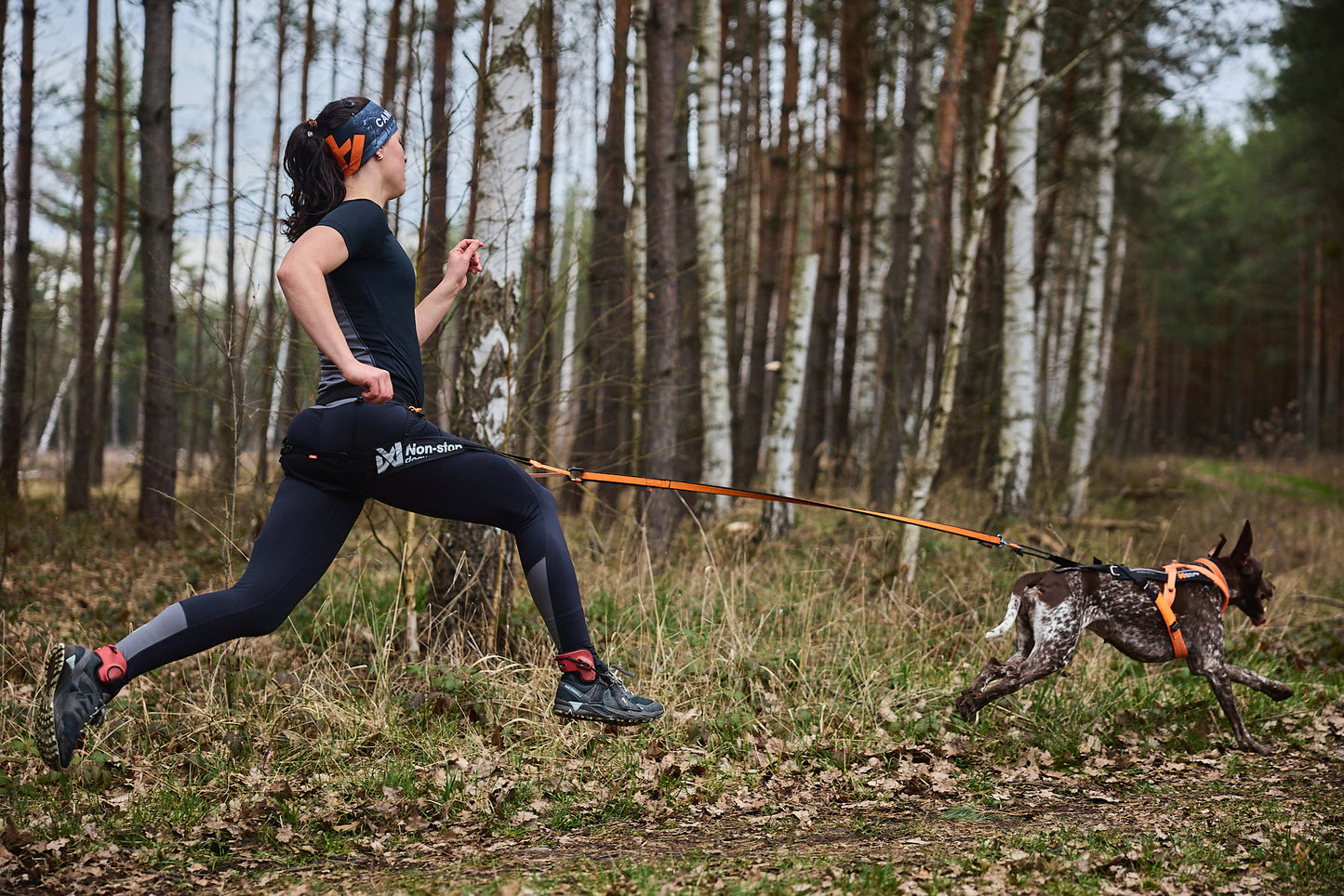 Non-stop dogwear - Freemotion harness 5.0