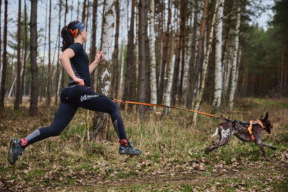 Non-stop dogwear - Freemotion harness 5.0