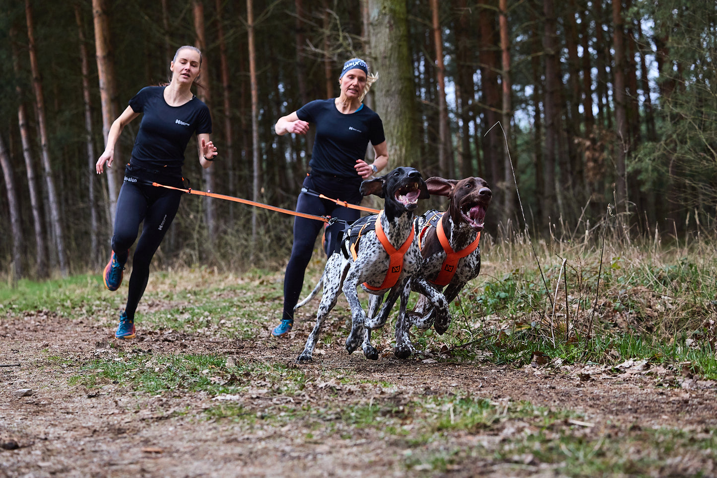 Non-stop dogwear - Freemotion harness 5.0