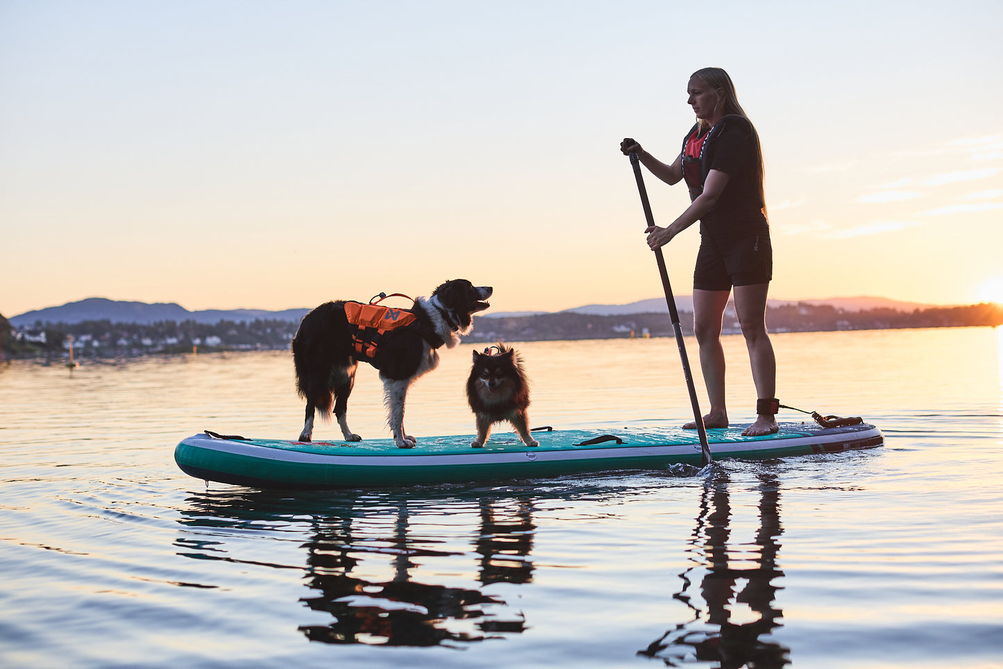 Non-stop dogwear - Protector Life Jacket