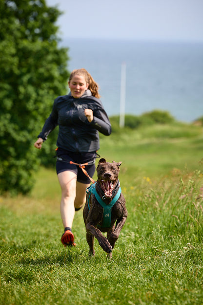 Non-stop dogwear - Freemotion harness 5.0