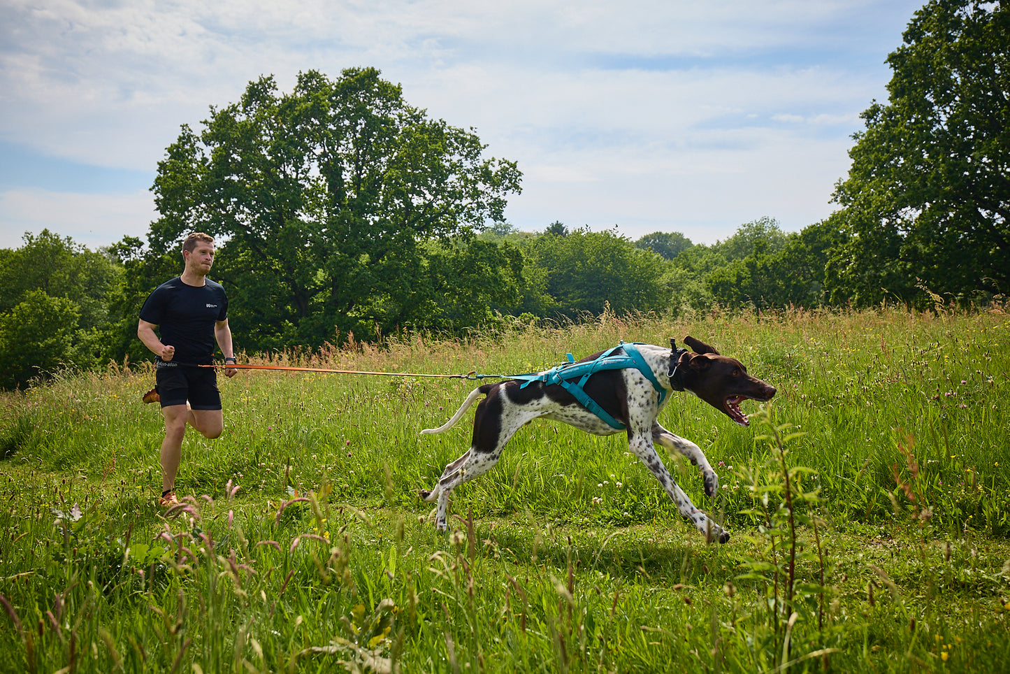Non-stop dogwear - Freemotion harness 5.0
