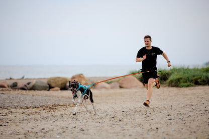 Non-stop dogwear - Freemotion harness 5.0