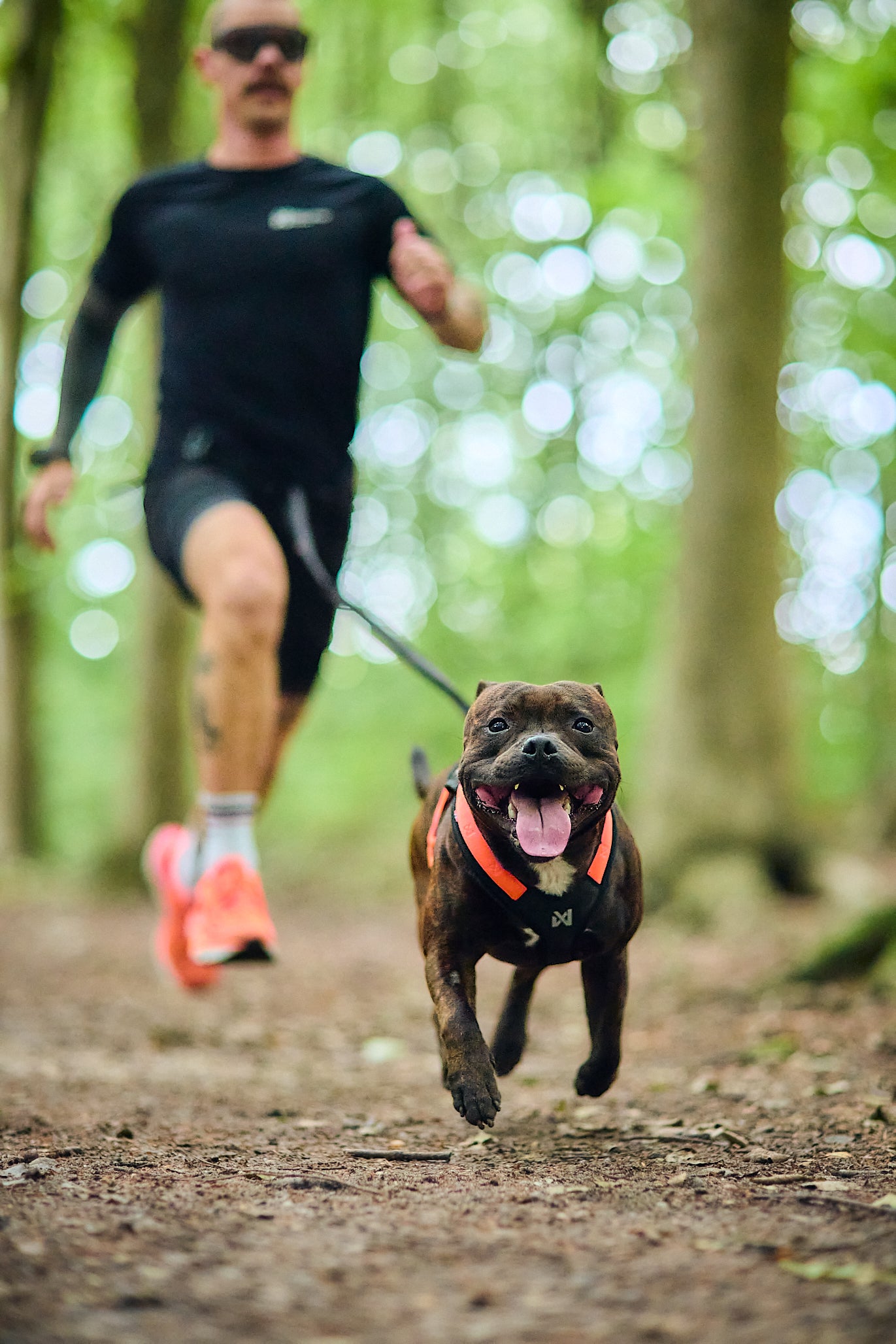 Non-stop dogwear - Rush harness