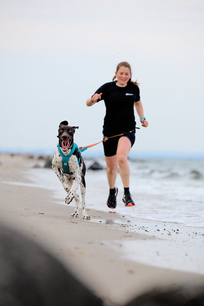 Non-stop dogwear - Freemotion harness 5.0