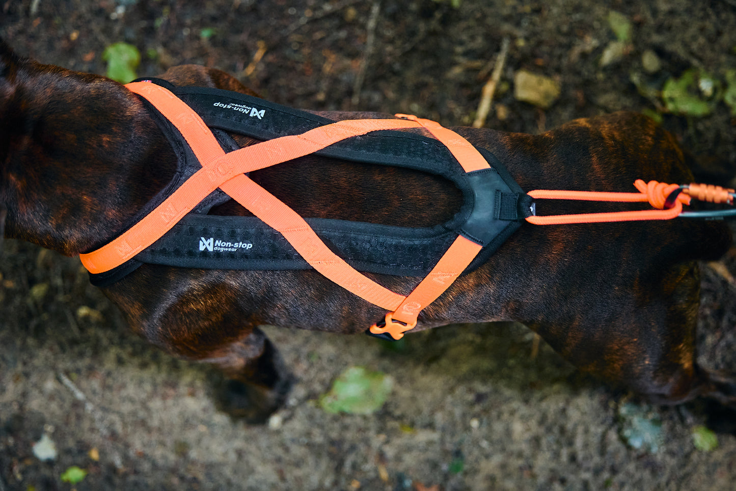 Non-stop dogwear - Rush harness