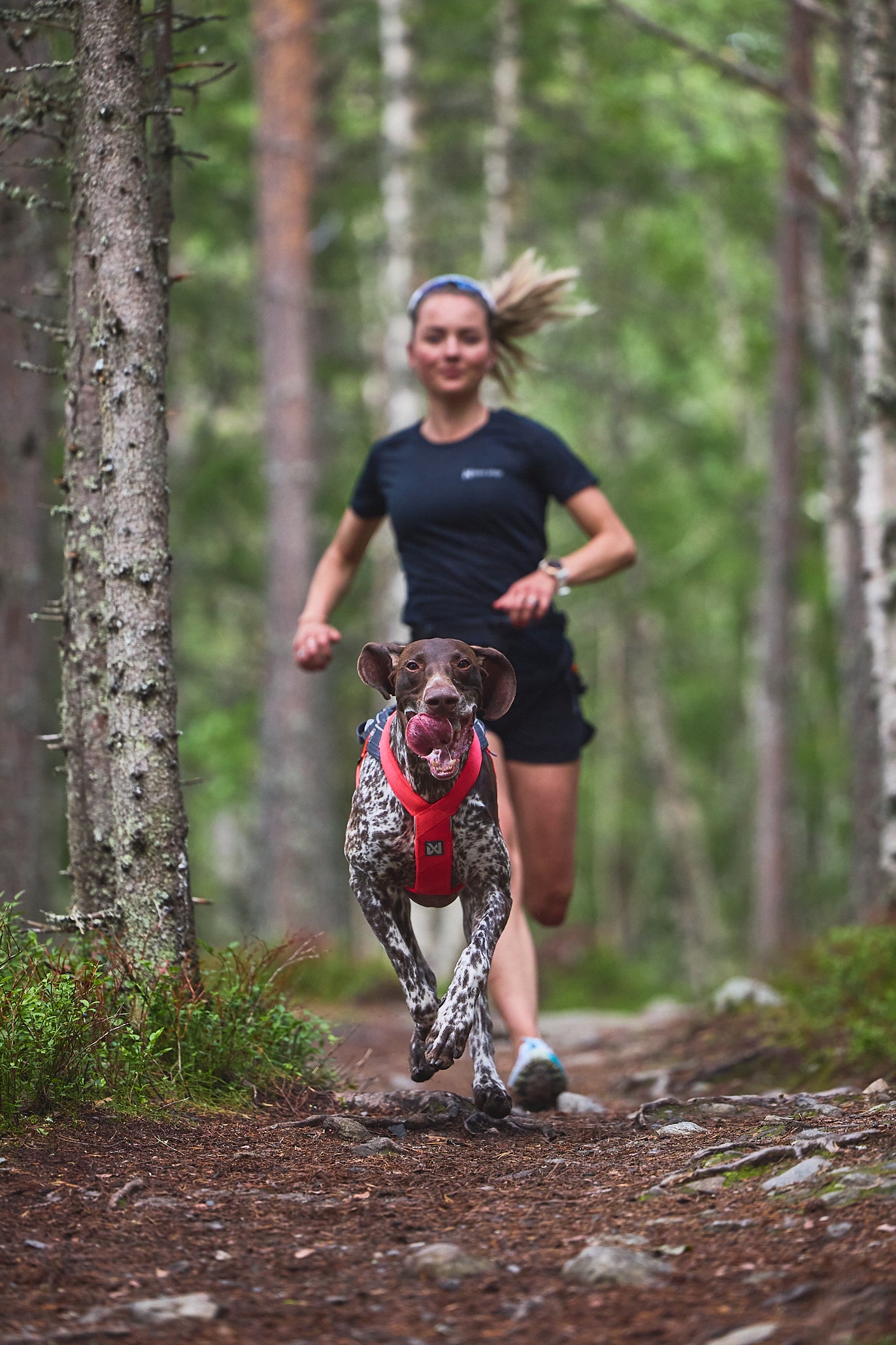 Non-stop dogwear - Freemotion harness 5.0