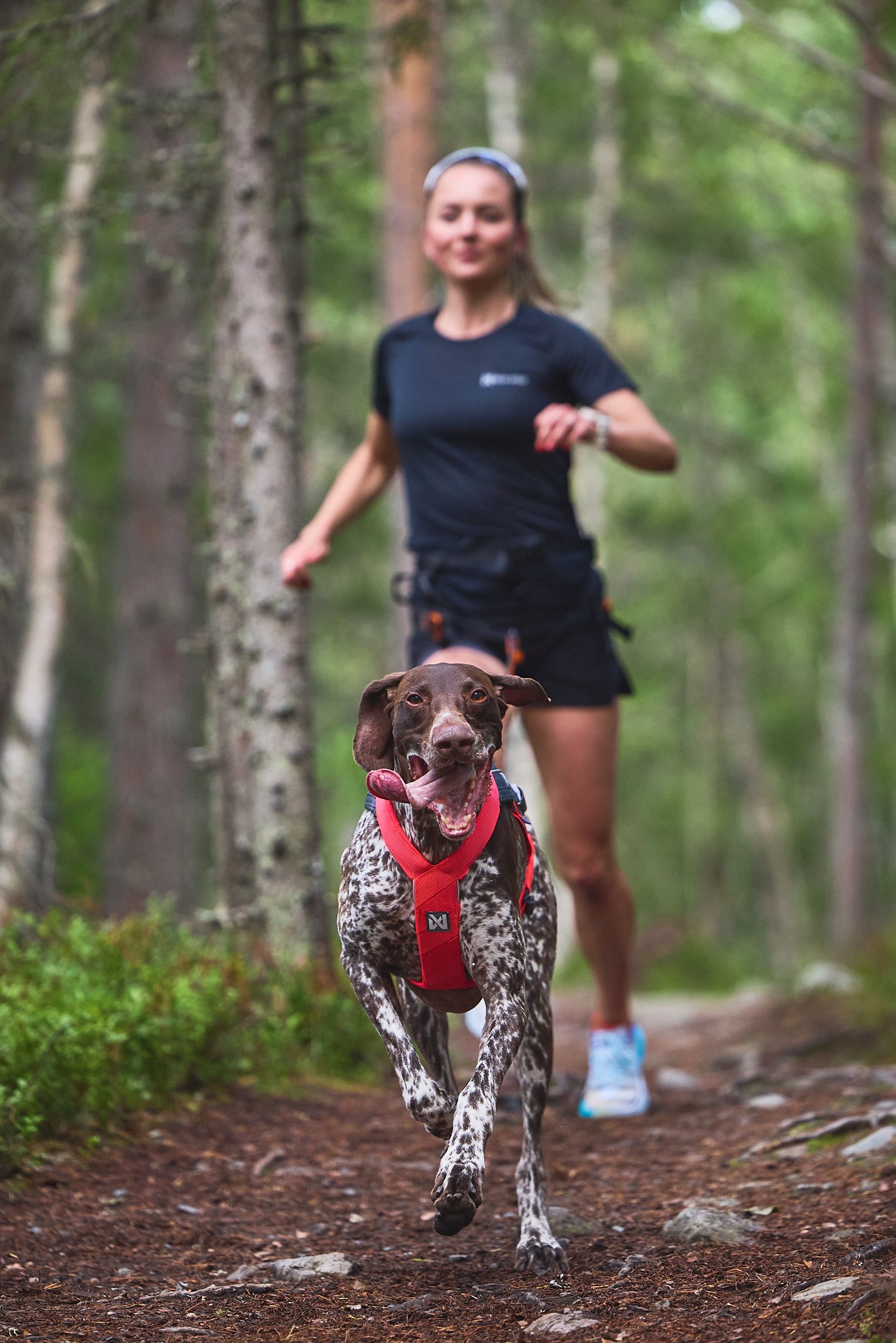 Non-stop dogwear - Freemotion harness 5.0
