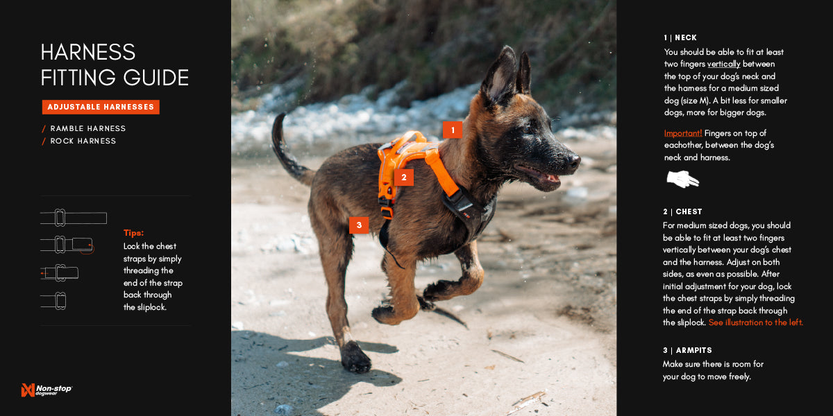 Non-stop dogwear - Rock harness
