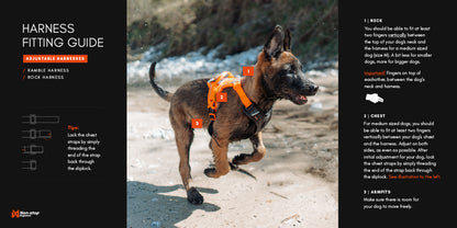 Non-stop dogwear - Rock harness