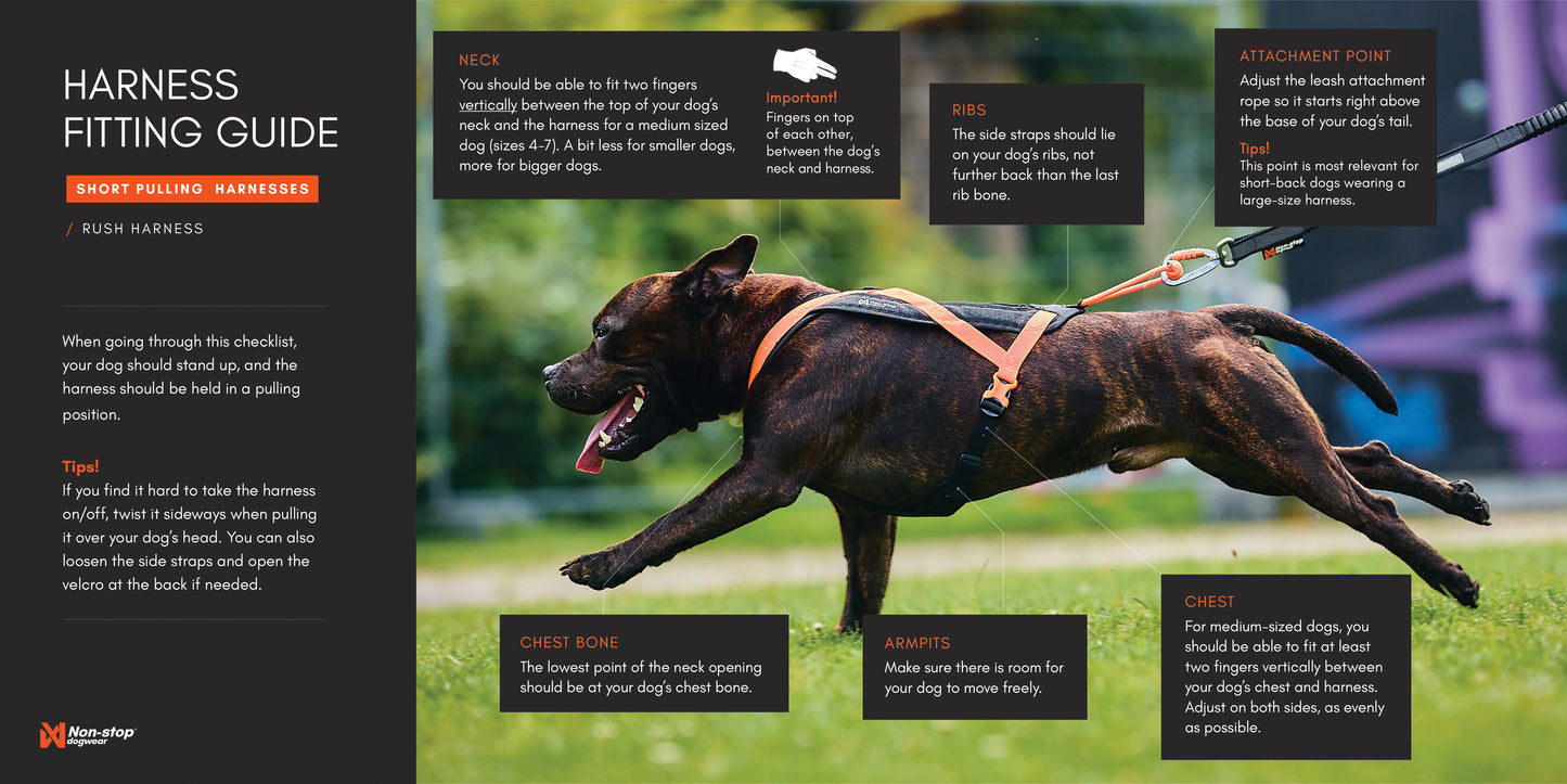 Non-stop dogwear - Rush harness
