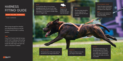 Non-stop dogwear - Rush harness
