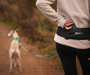 Non-stop dogwear - Rush Belt