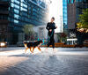 Non-stop dogwear - Rush Belt