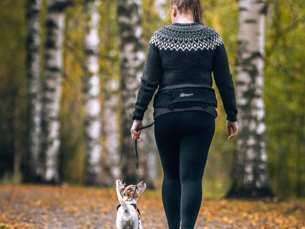 Non-stop dogwear - Rush Belt