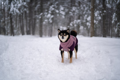 Non-stop dogwear - Glacier Dog Jacket 3.0
