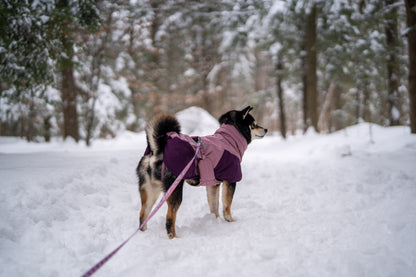 Non-stop dogwear - Glacier Dog Jacket 3.0