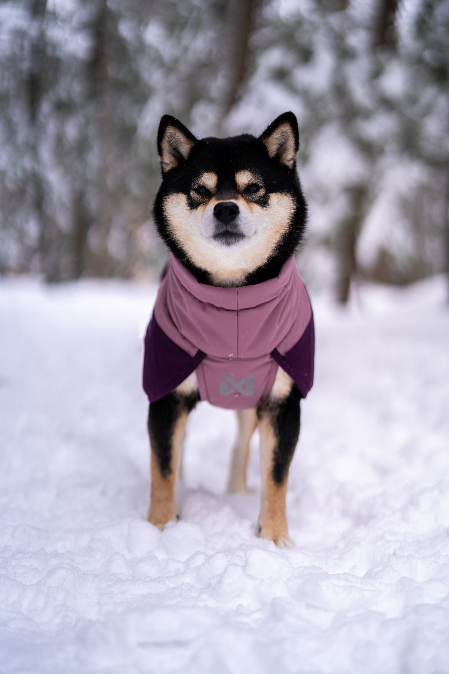 Non-stop dogwear - Glacier Dog Jacket 3.0