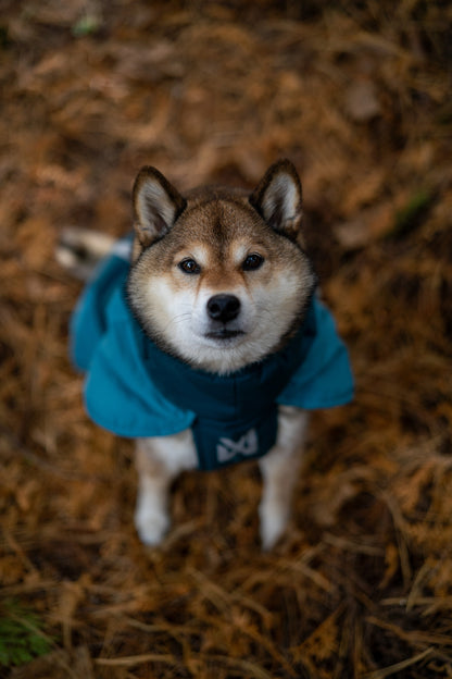 Non-stop dogwear - Glacier Dog Jacket 3.0