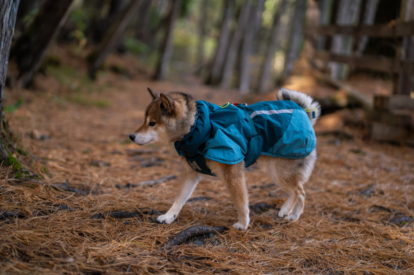 Non-stop dogwear - Glacier Dog Jacket 3.0