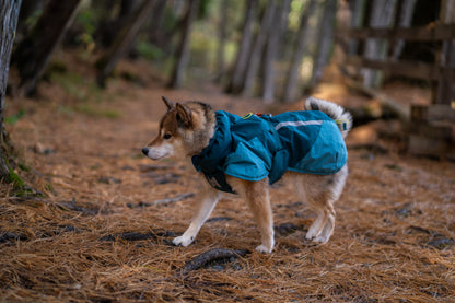 Non-stop dogwear - Glacier Dog Jacket 3.0