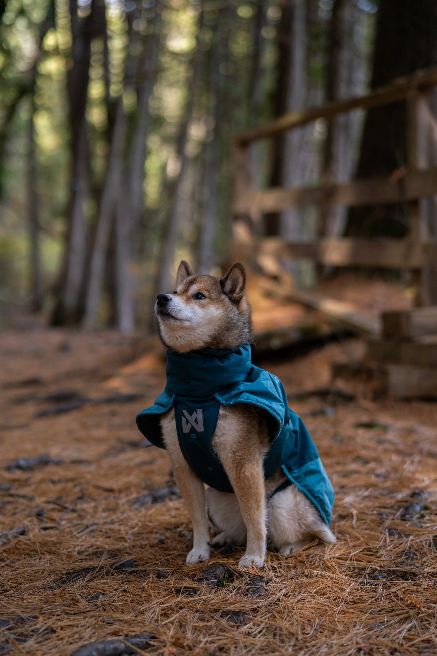 Non-stop dogwear - Glacier Dog Jacket 3.0